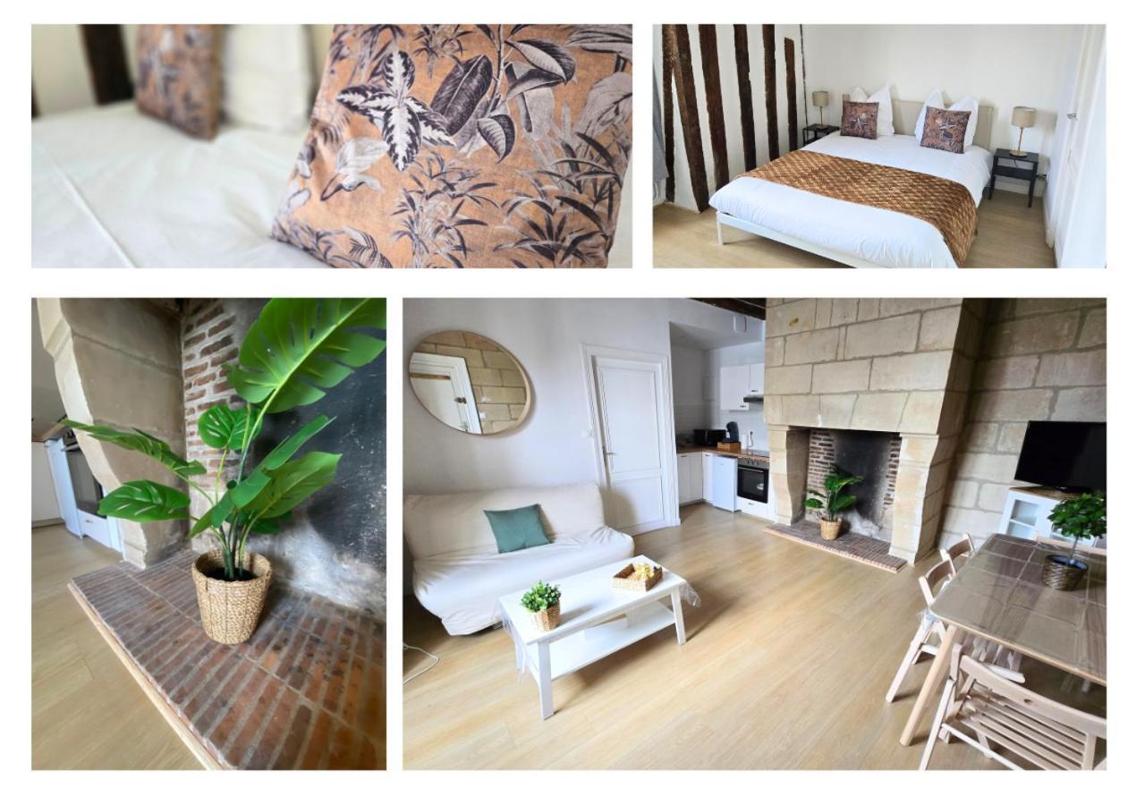 Le Constantine - Quartier Historique - Charme & Ancien Apartment Tours Bagian luar foto